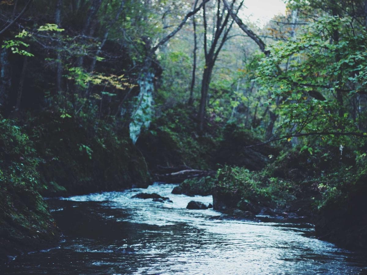 Compact Gaming Accessories Accessory