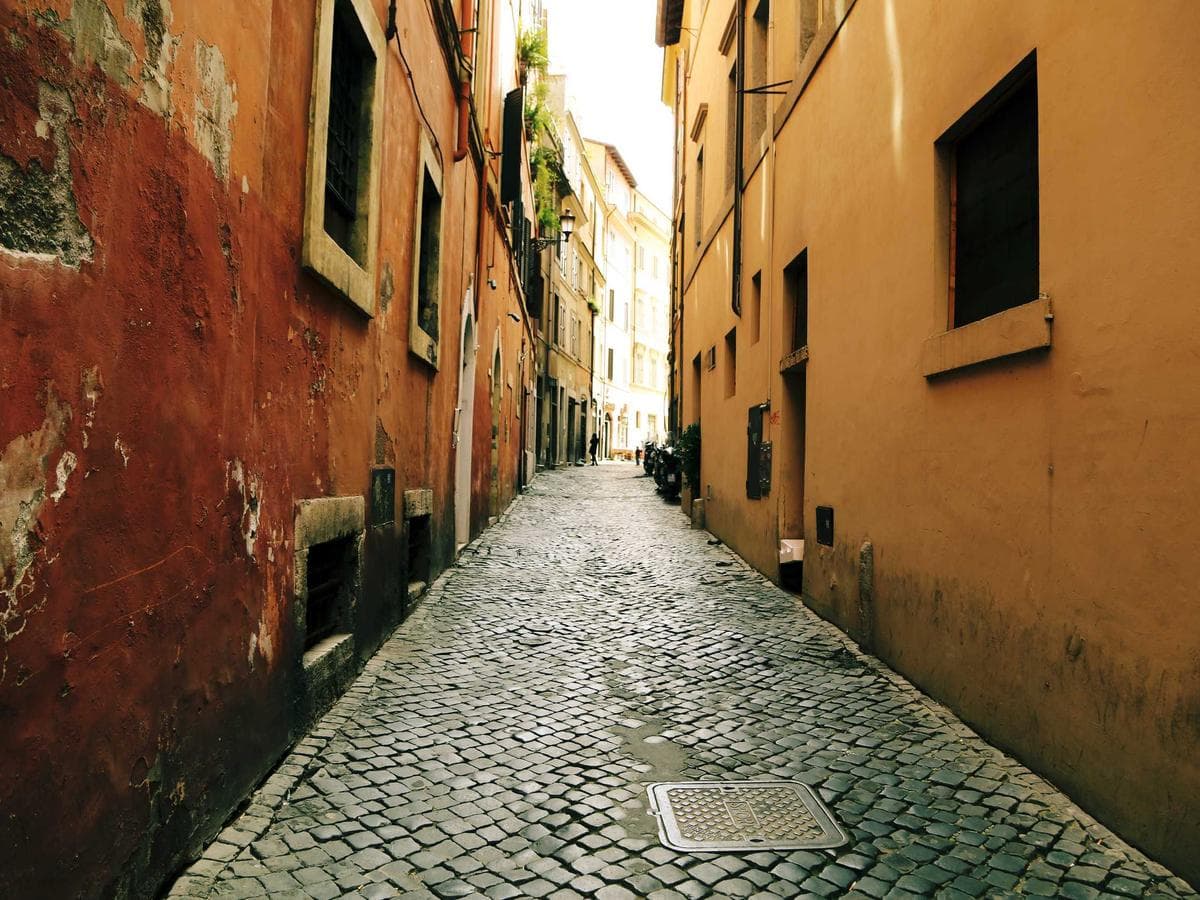 Organic cotton poplin – 2m (navy)