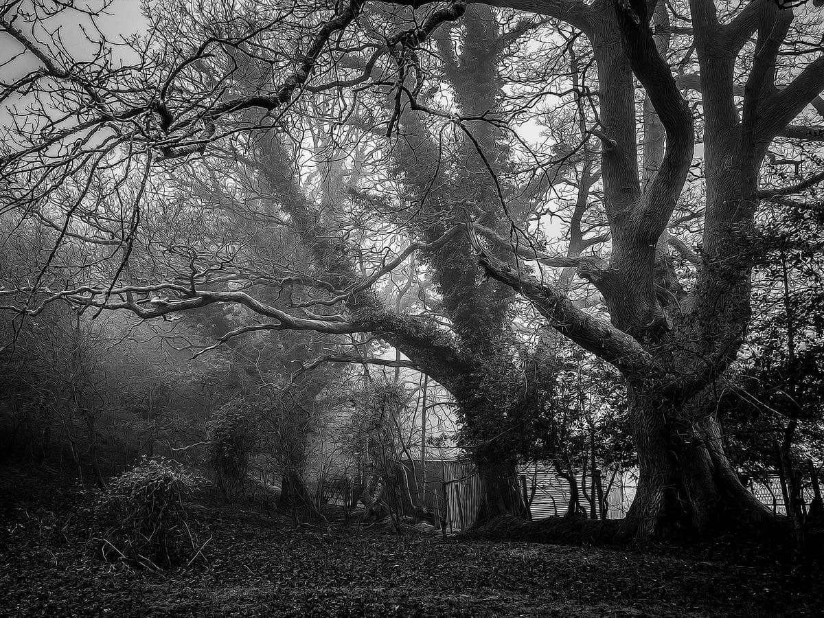 Lightweight Kids Clothing Essentials