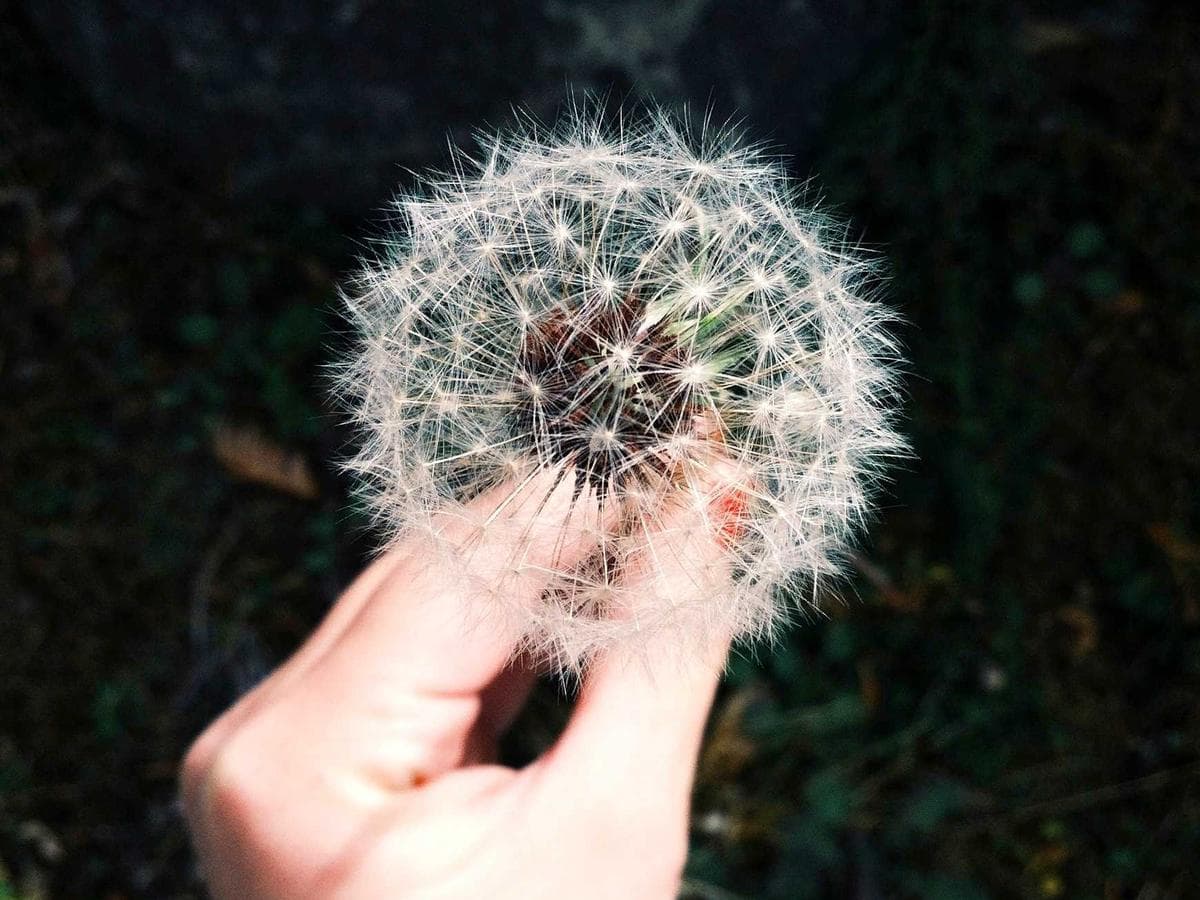 Everyday Antiques Vintage Kit