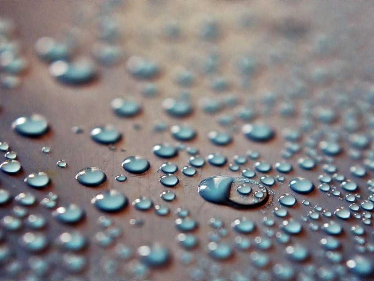 Pro Car Seats Bundle