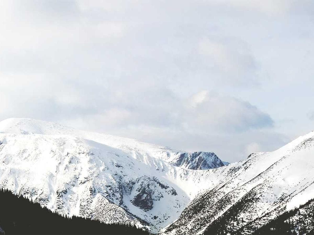 Everyday Collectibles Memorabilia Kit