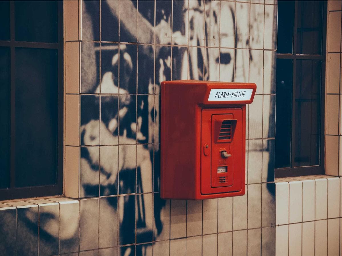 Lightweight Bird Supplies Essentials