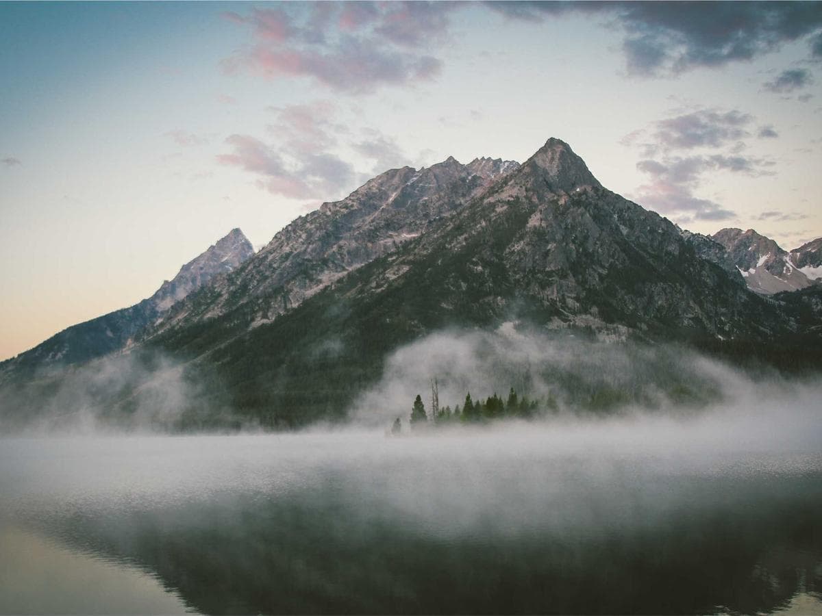 Modern Music Media Collection