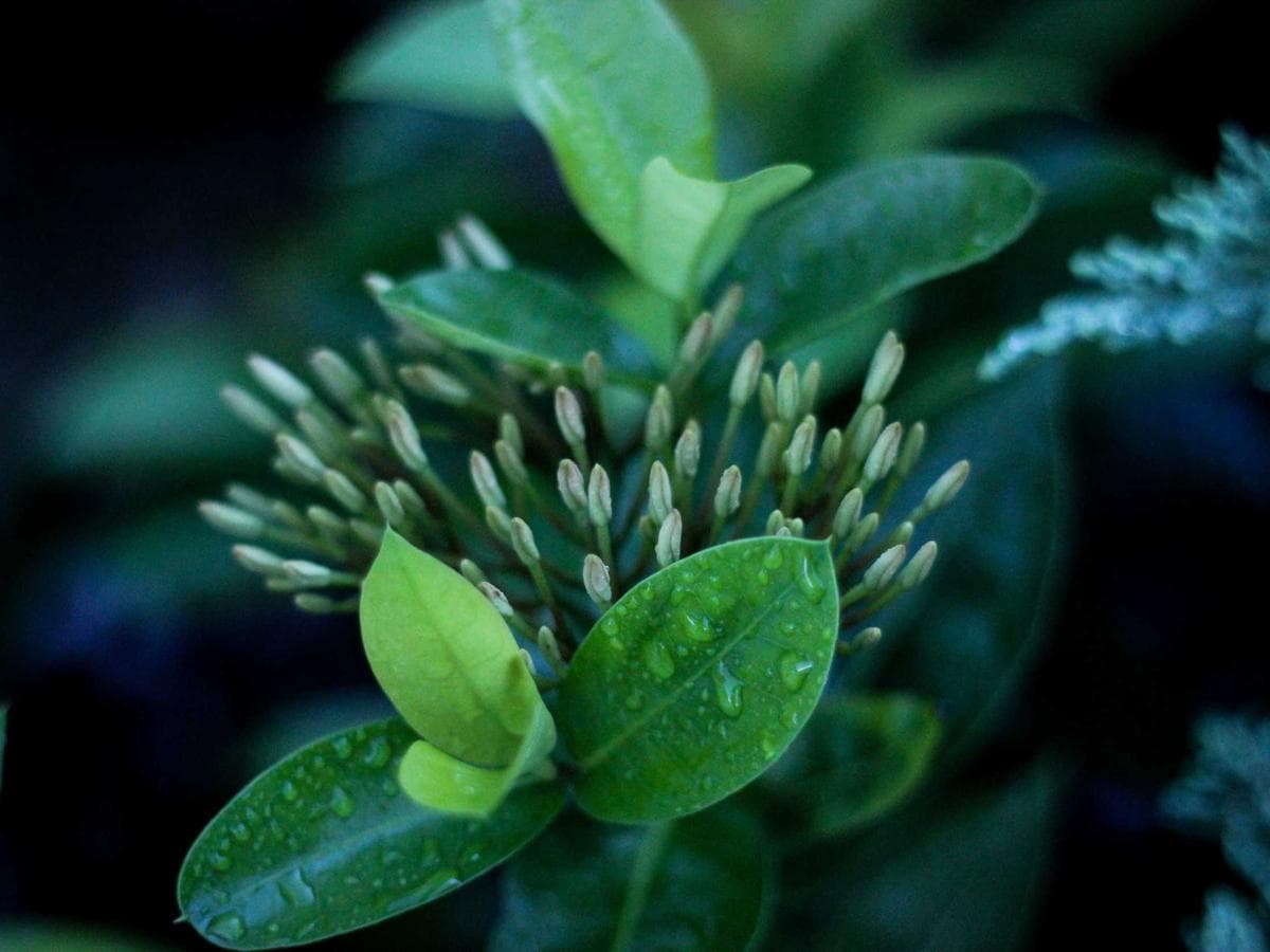 Minimal Paper Notebooks Upgrade