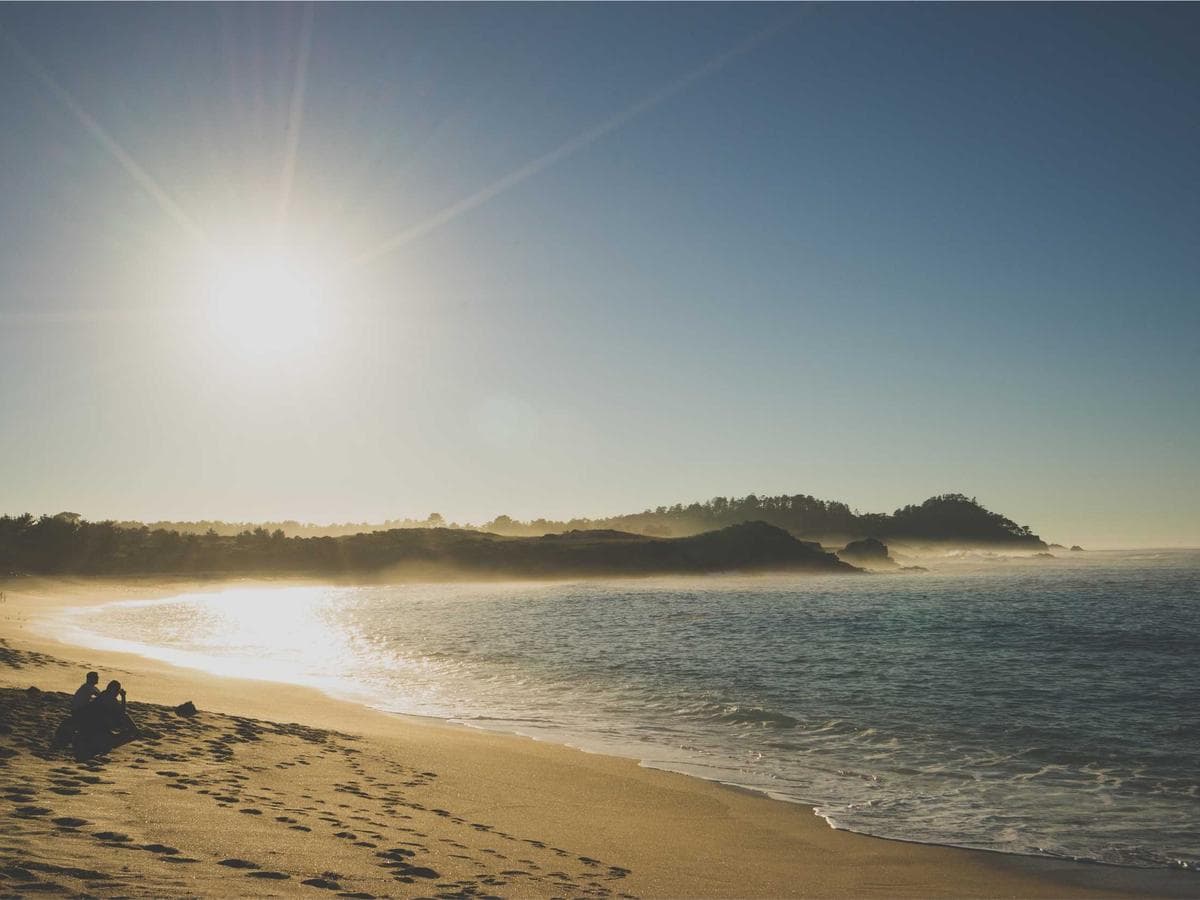 Classic Video Camcorders Edition