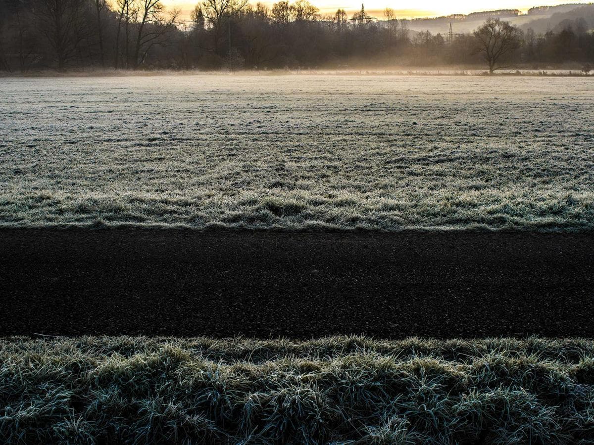 Cotton yarn – 8 skeins (pastel mix)