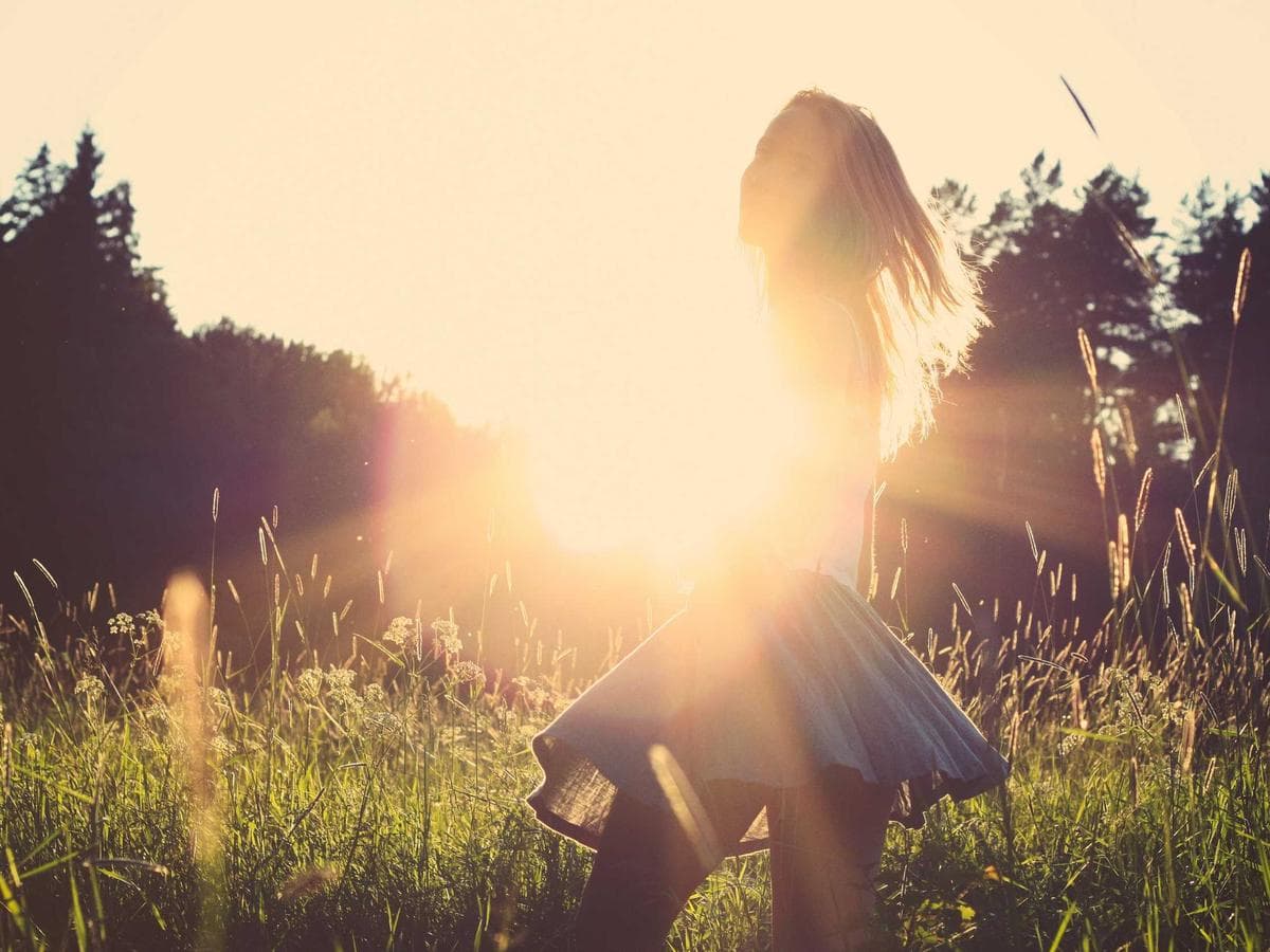 Pro Pet Beds Crates Bundle