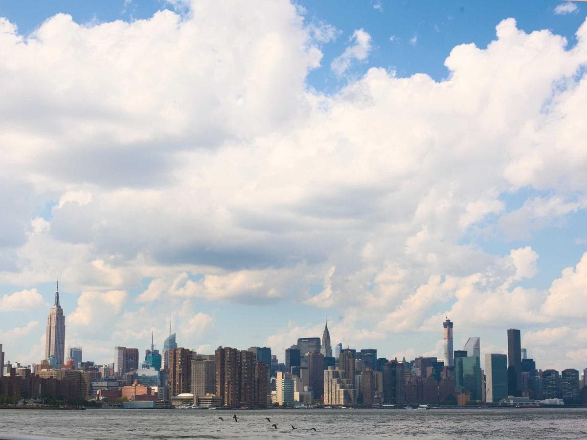 Durable Arts Crafts Starter