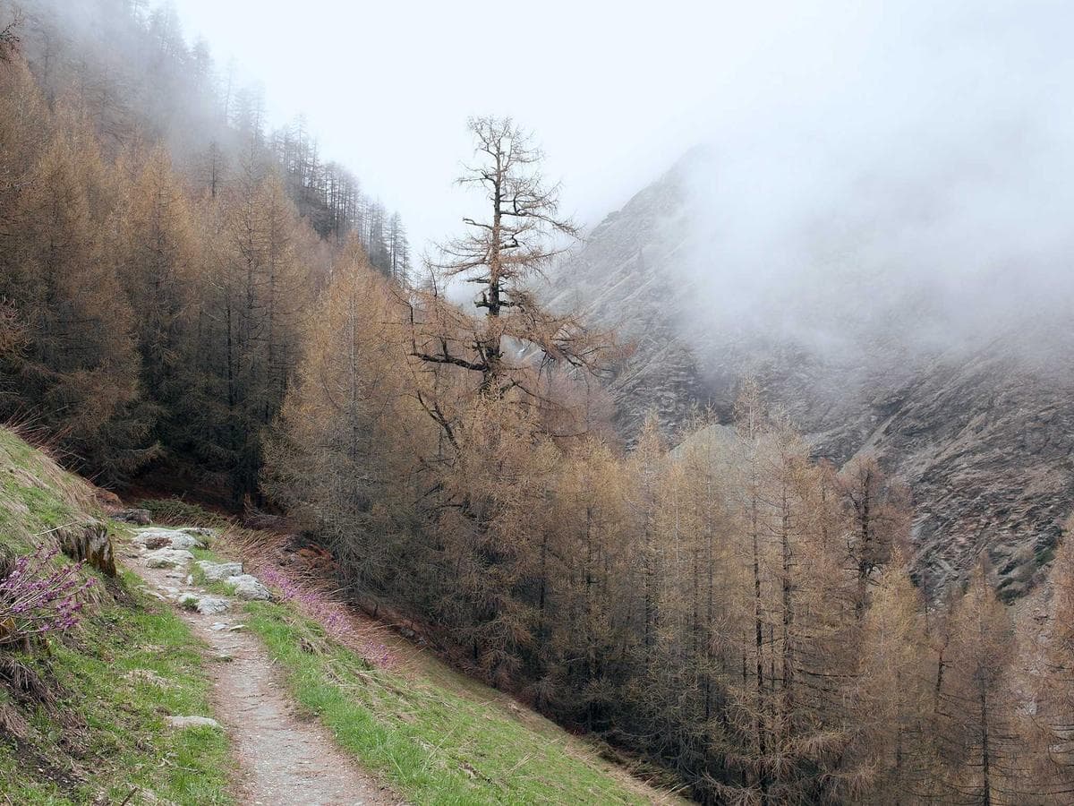 Classic Arts Crafts Edition