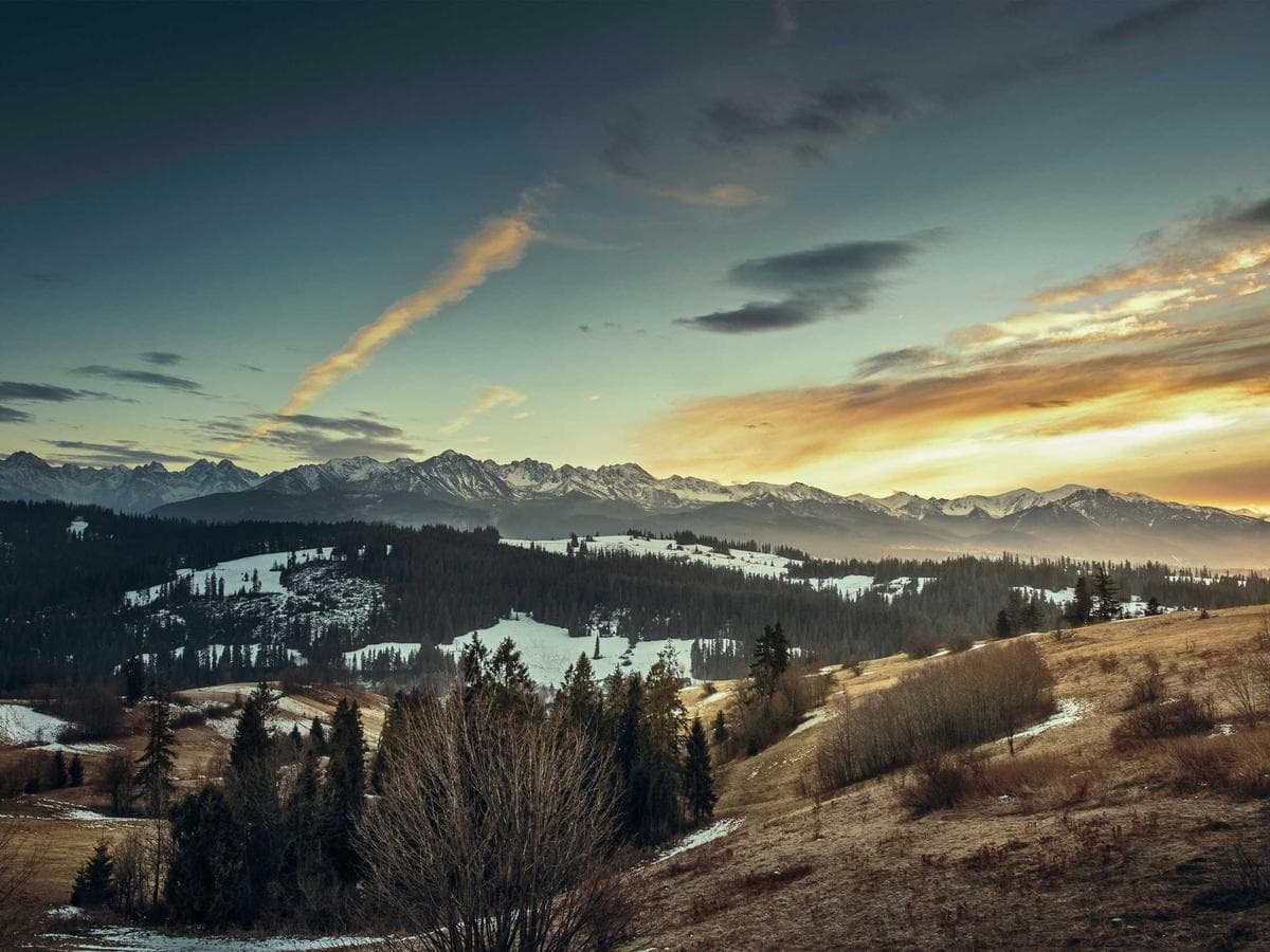 Classic Beauty Tools Edition