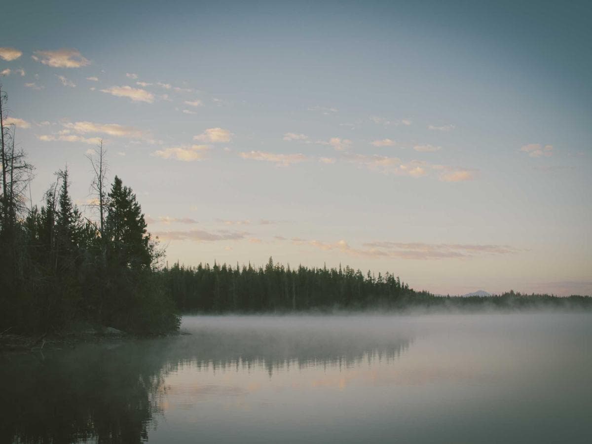 Bamboo terry – 1.5m (cream)