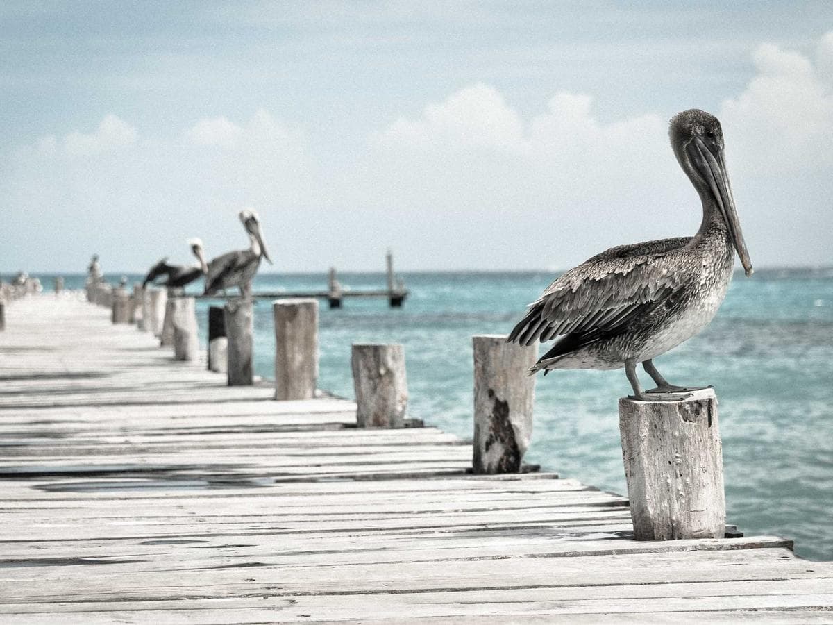 Everyday Office Furniture Kit