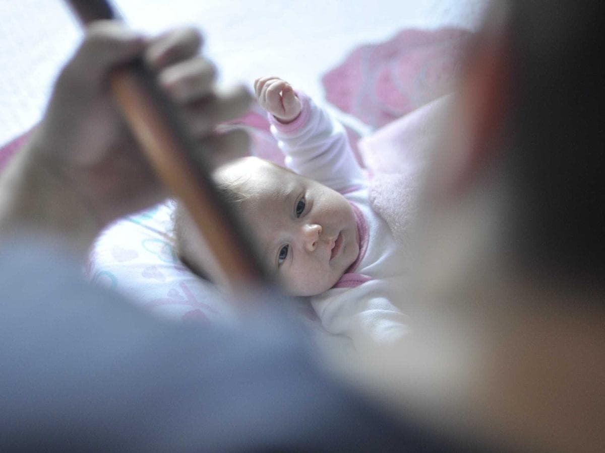 wool quilting cotton – 2.5m (rust)