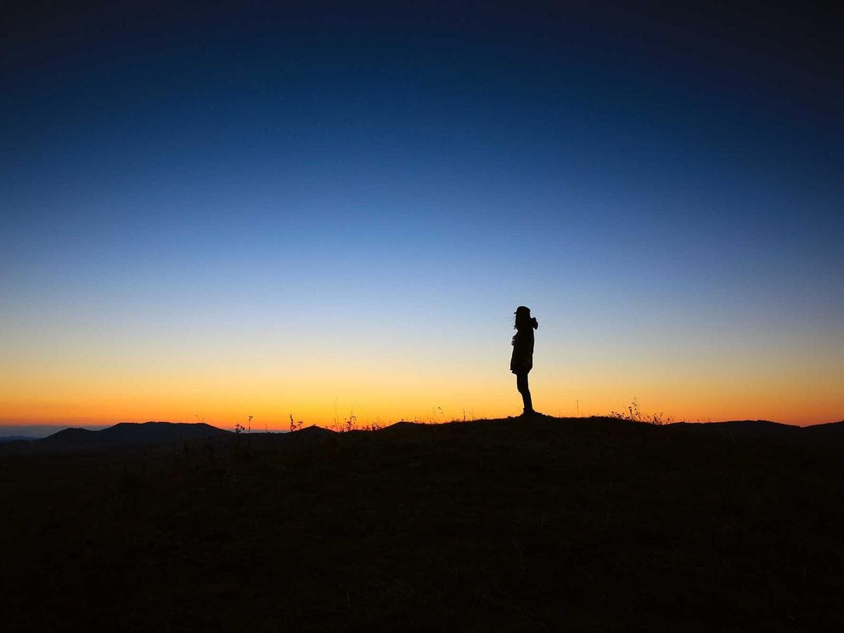 jersey quilting cotton – 2.5m (sand)