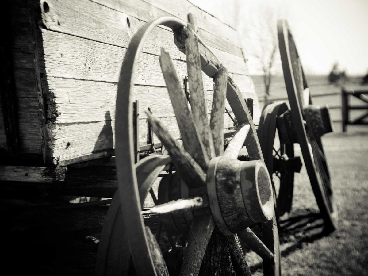 Urban Loom hoodie (olive) – size L