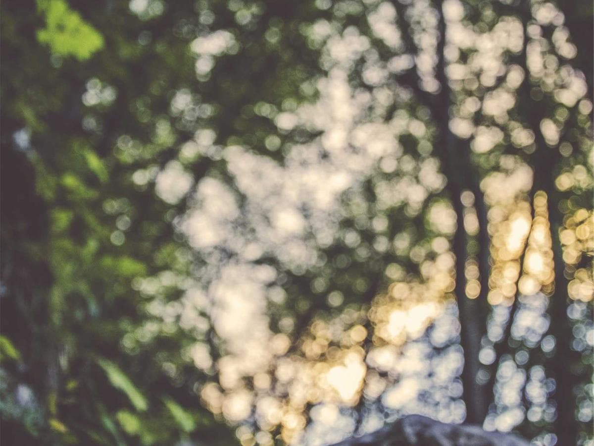 Atelier Standard overshirt (cream) – size XS