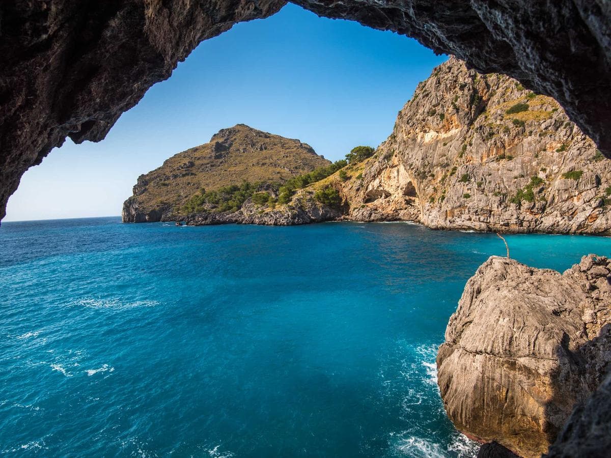 Studio Archive hoodie (olive) – size S