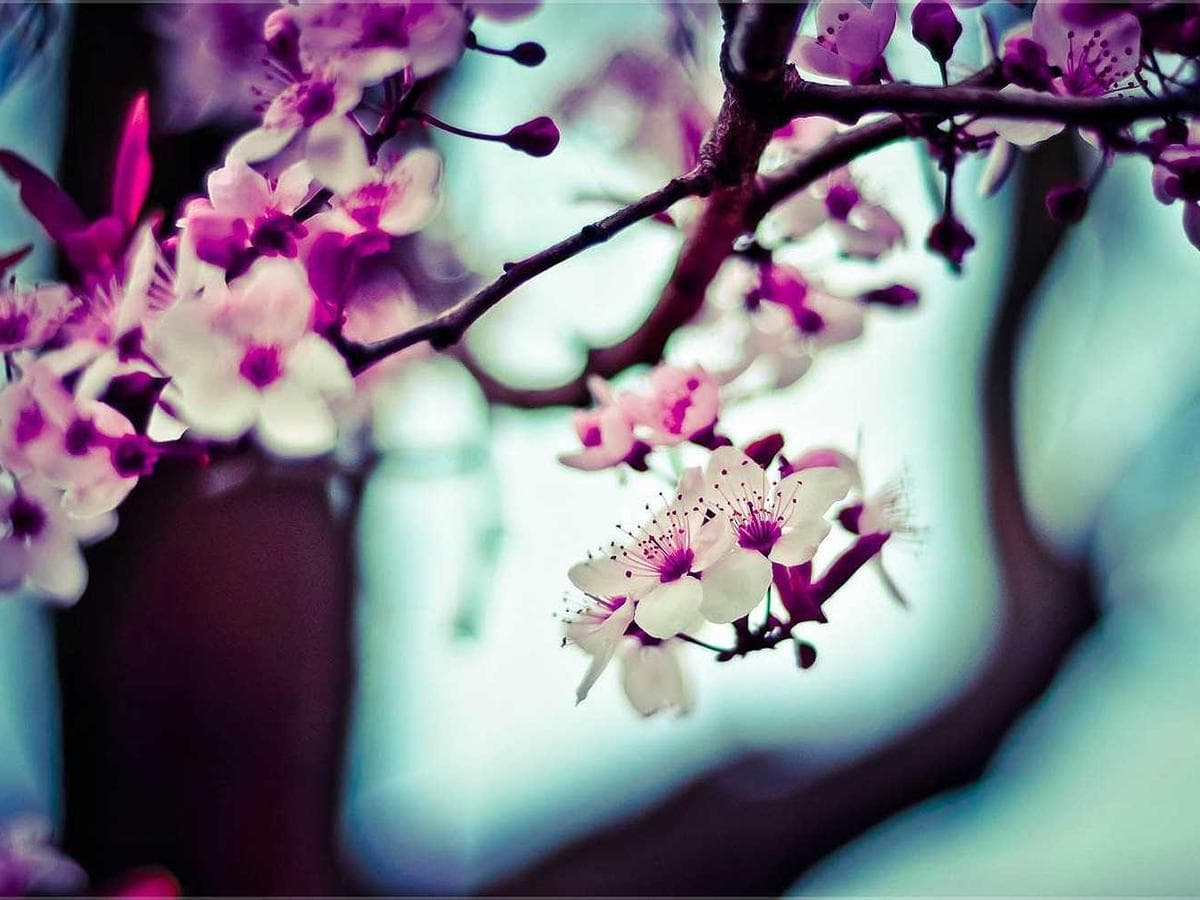 Urban Loom linen blazer (navy) – size L