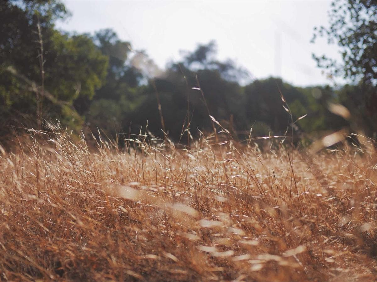 Minimal District overshirt (cream) – size XL