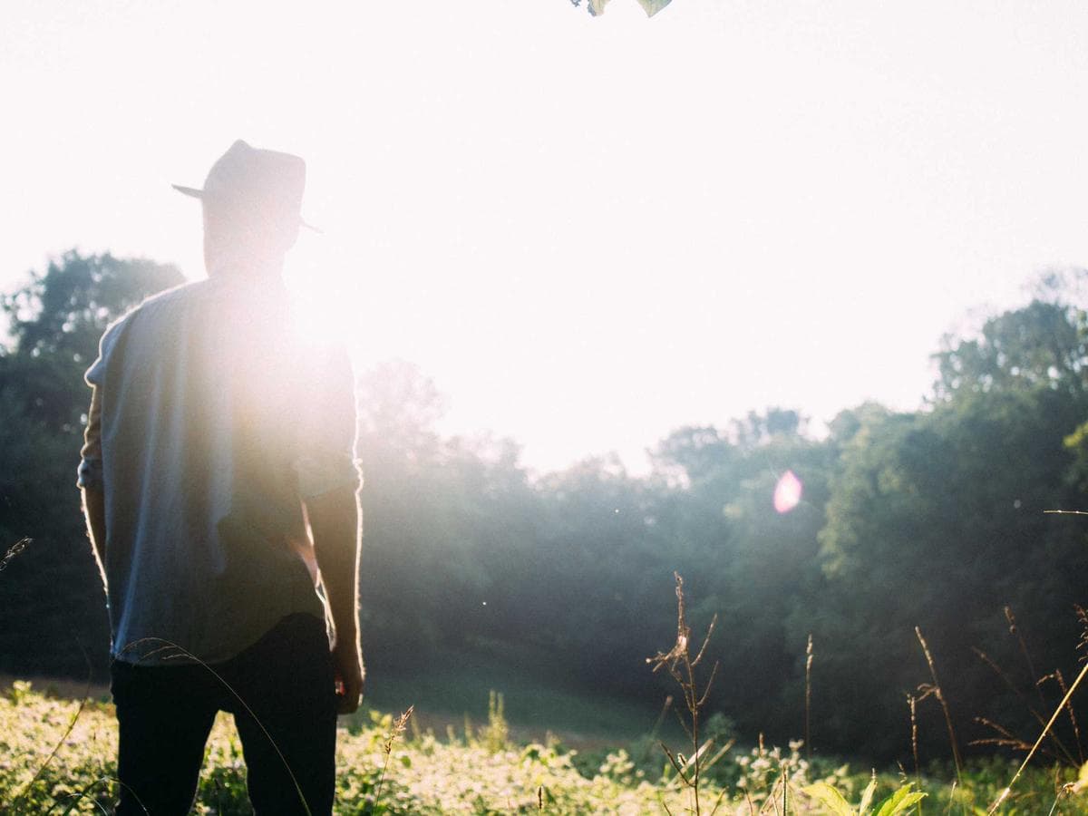 Atelier Standard hoodie (olive) – size XS