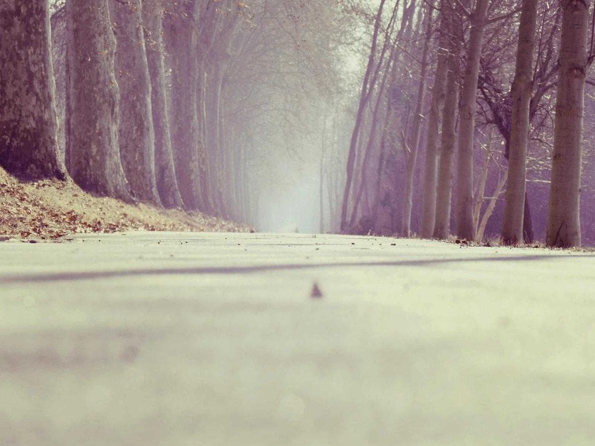 vegan leather leather belt (tan)