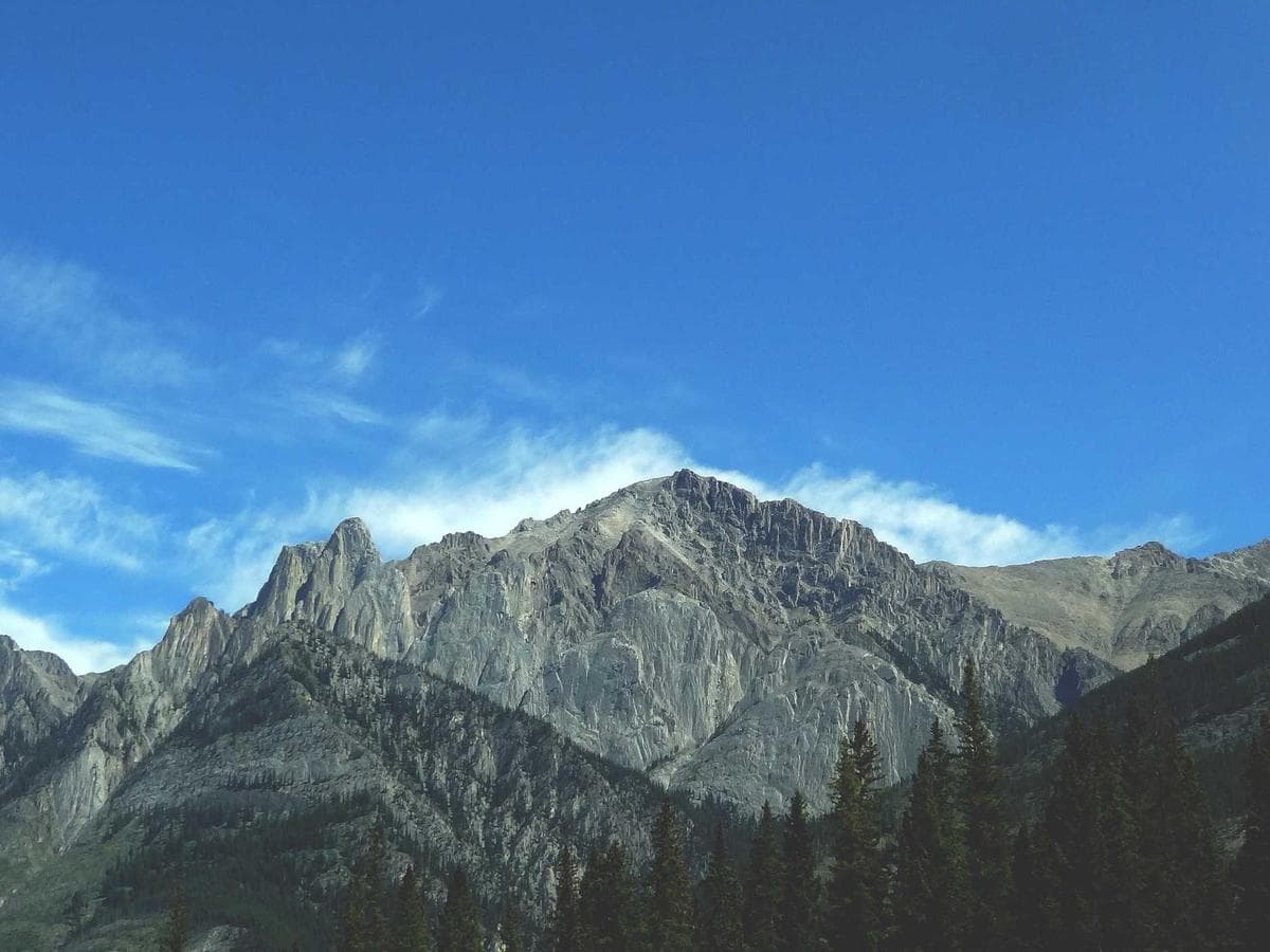 canvas weekender bag (navy)