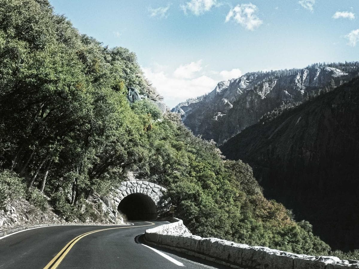 silk minimal watch (cream)