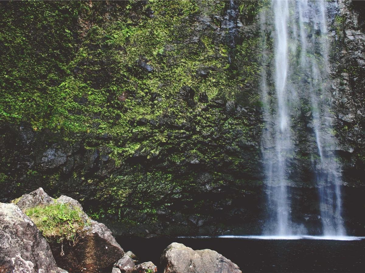 leather silk scarf (black)
