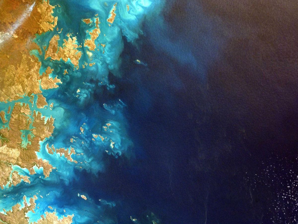 nylon sunglasses (navy)