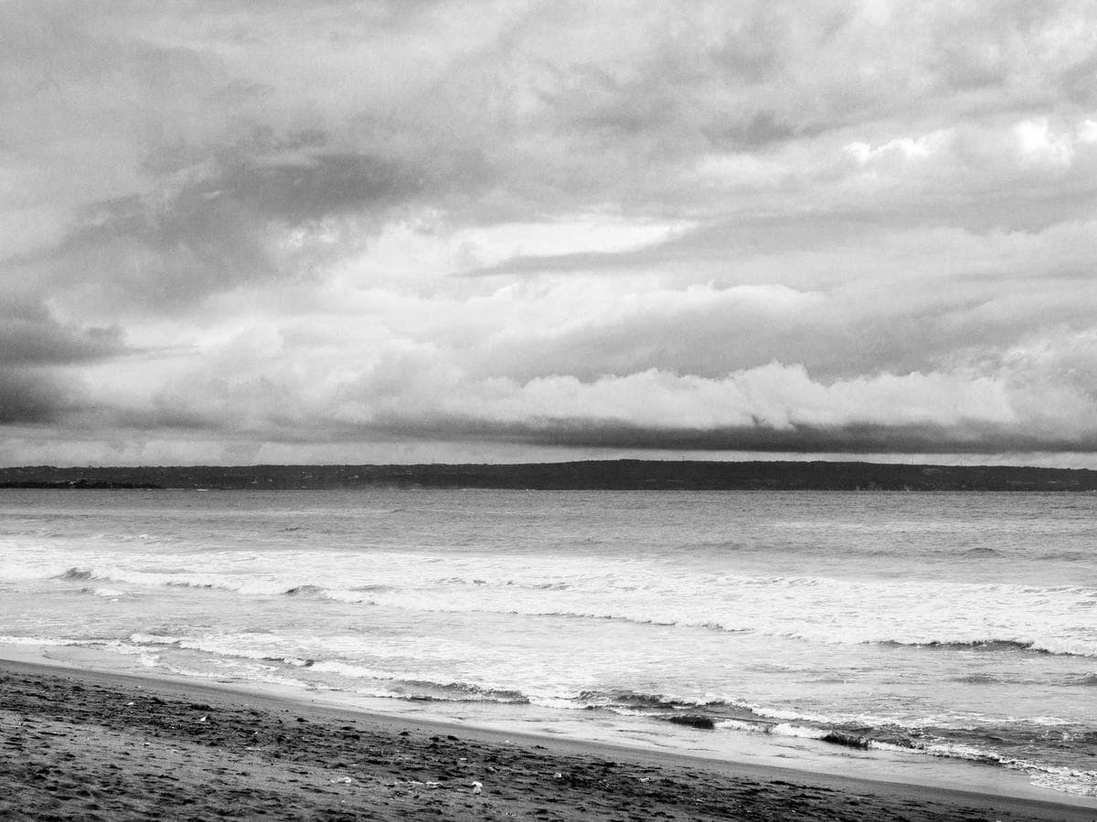 silk leather belt (burgundy)