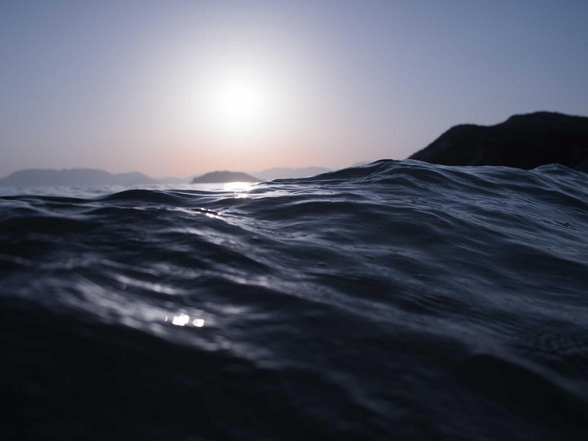 vegan leather crossbody bag (black)