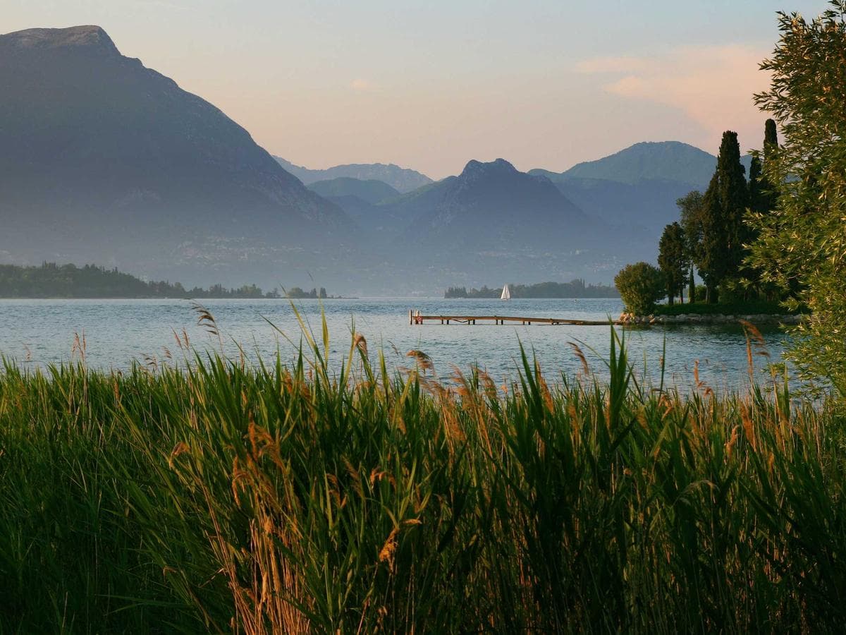 nylon silk scarf (tan)