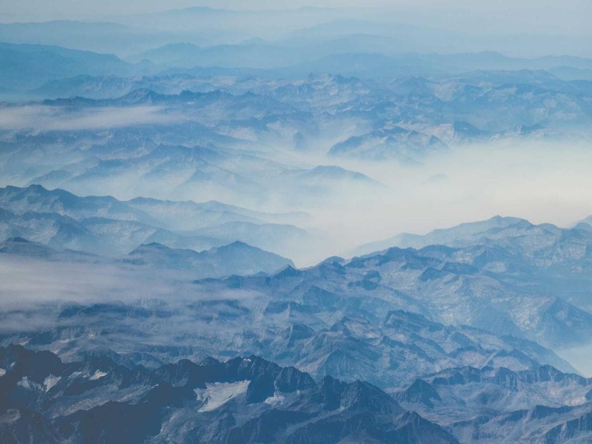 leather cap (burgundy)
