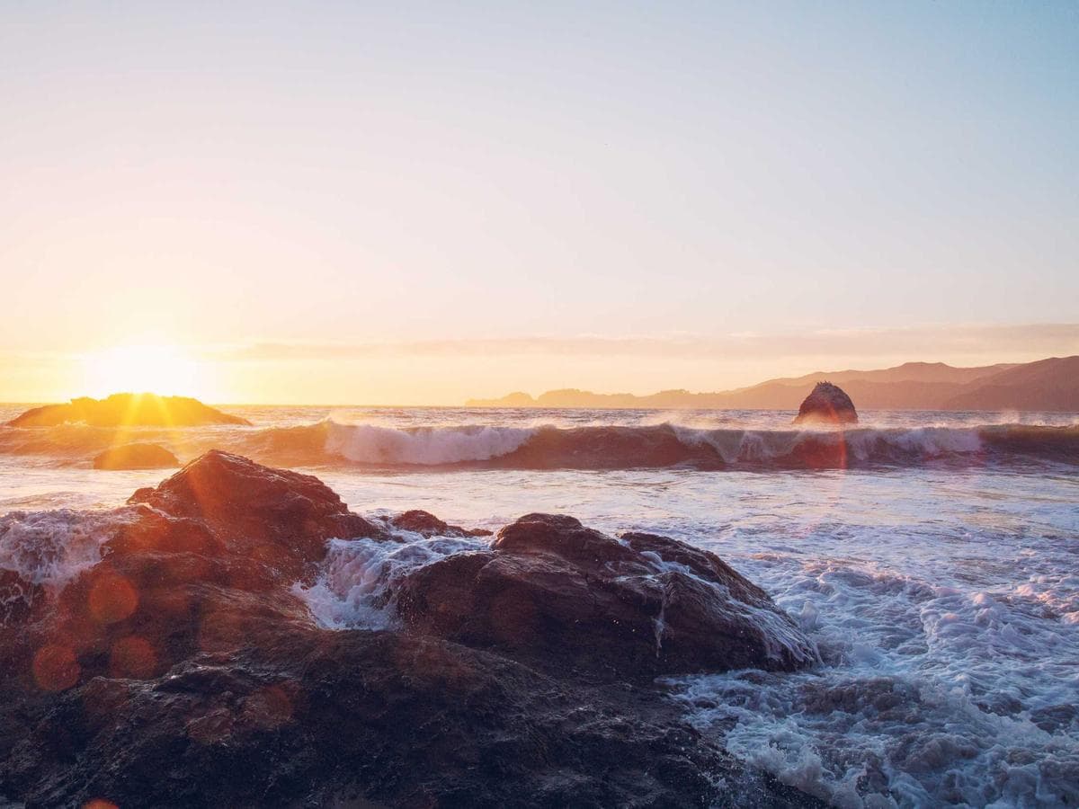 nylon weekender bag (brown)