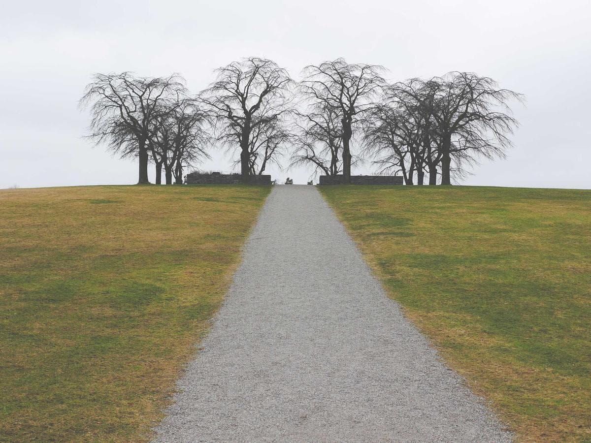 Classic Spare Parts Appliances Edition