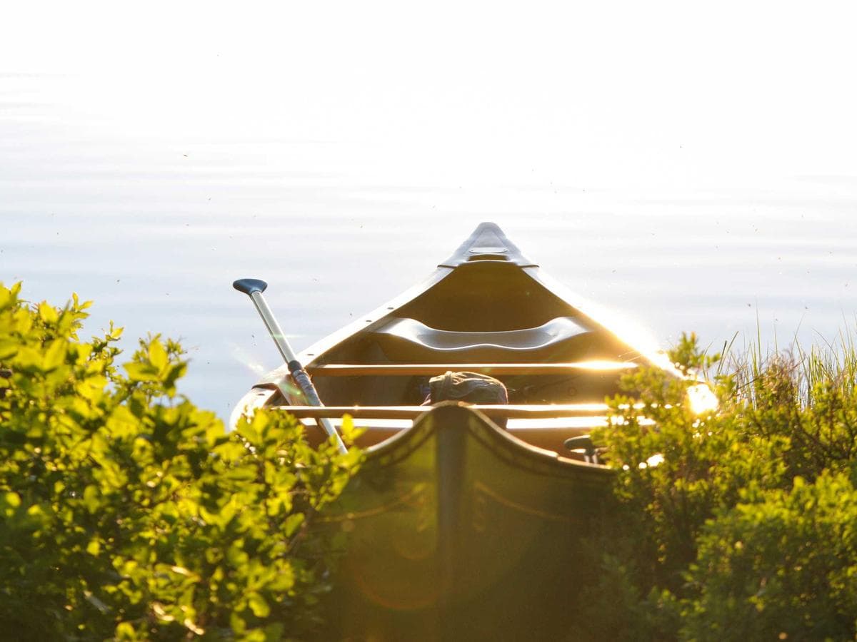 Durable Watches Starter