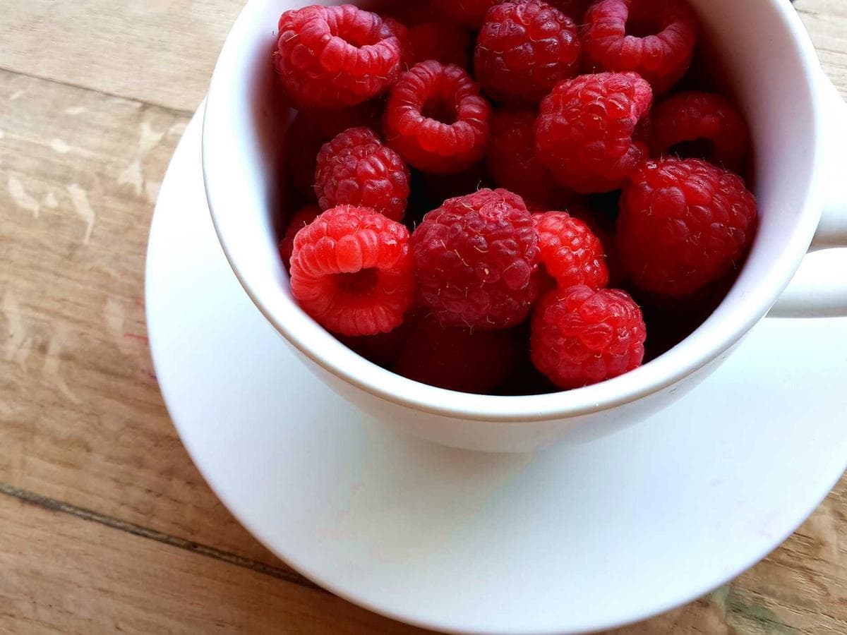 Travel Cat Supplies Set