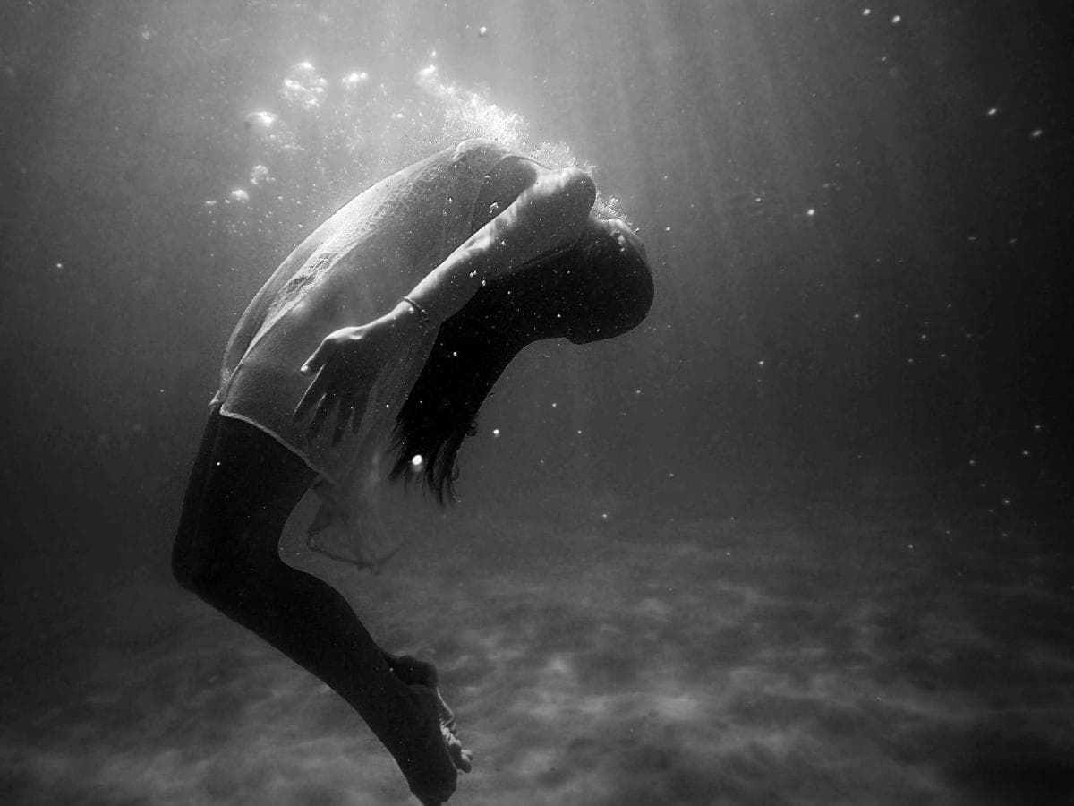 Everyday Cat Supplies Kit