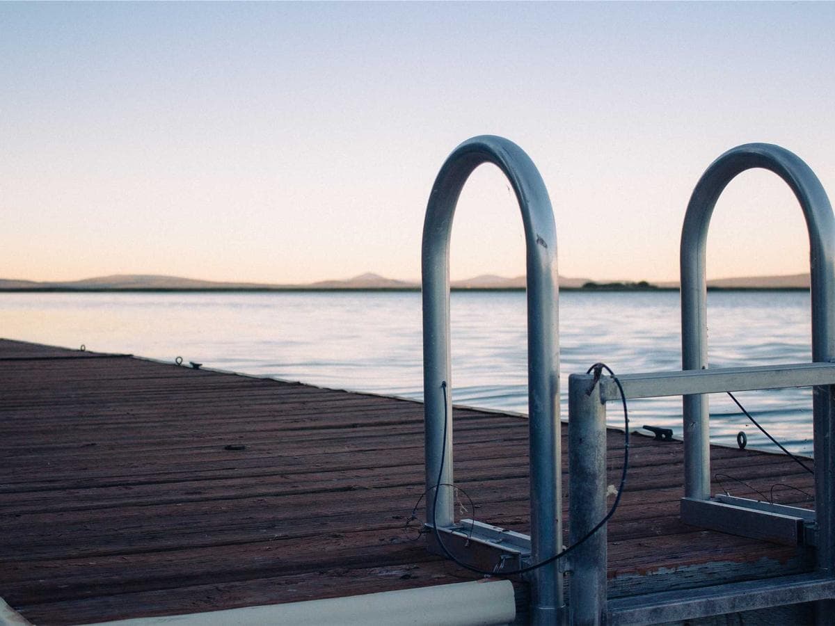 Pro Dog Supplies Bundle