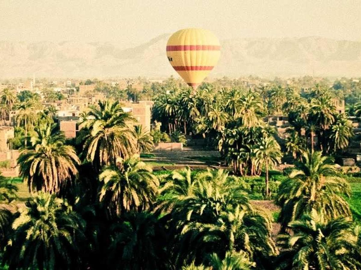 Compact Pet Grooming Accessory