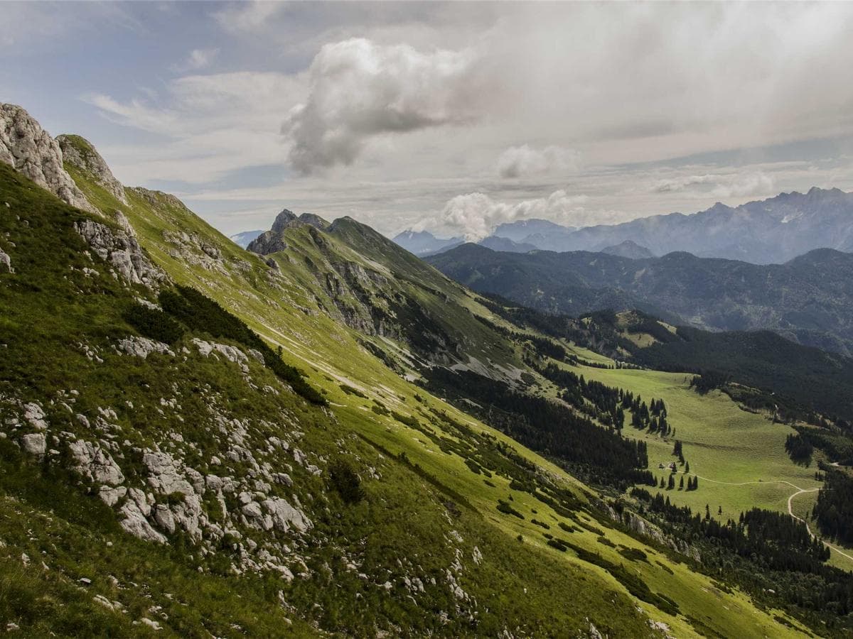 Premium Pet Grooming Pack