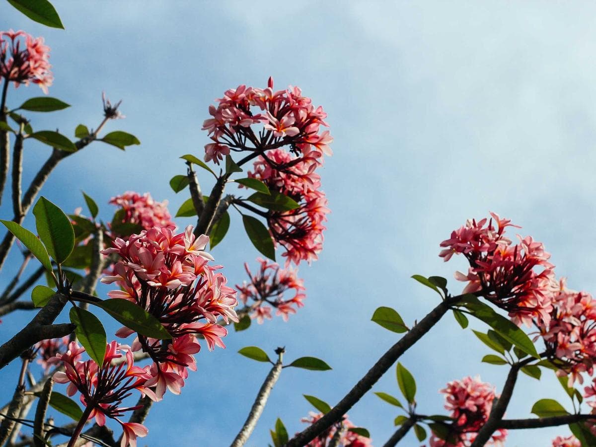 Premium Camera Accessories Pack