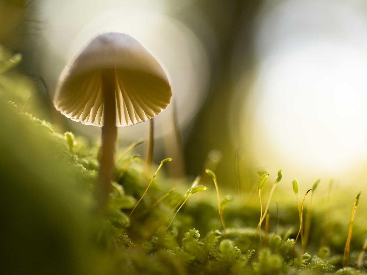 Modern Car Accessories Collection