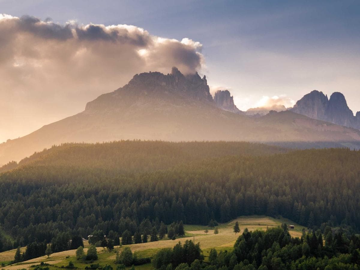 Lightweight Printers Scanners Essentials