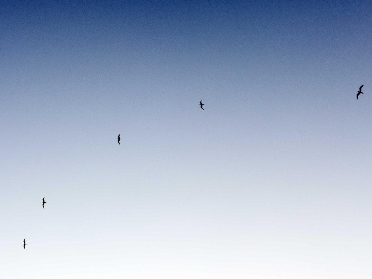 Modern Movies Tv Collection